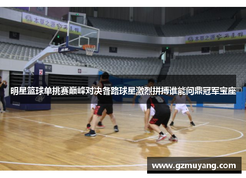明星篮球单挑赛巅峰对决各路球星激烈拼搏谁能问鼎冠军宝座
